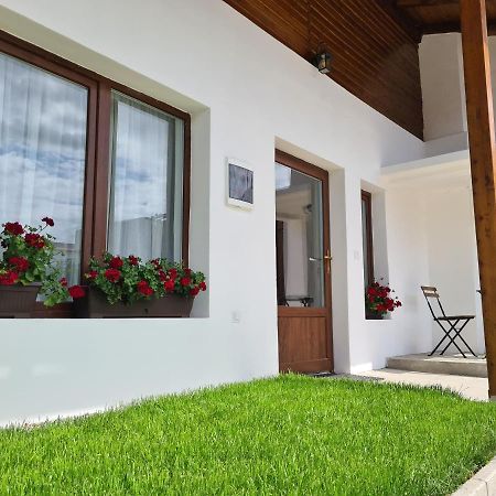 The Cozy Bunker Apartment Sibiu Ngoại thất bức ảnh
