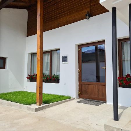 The Cozy Bunker Apartment Sibiu Ngoại thất bức ảnh