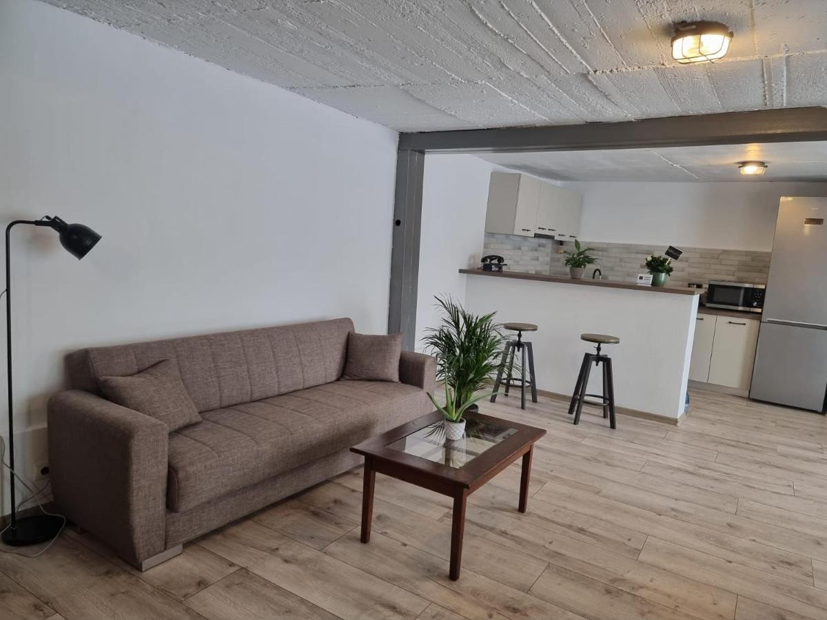 The Cozy Bunker Apartment Sibiu Ngoại thất bức ảnh