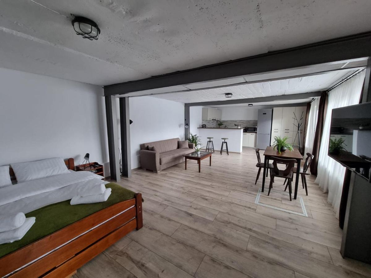 The Cozy Bunker Apartment Sibiu Ngoại thất bức ảnh