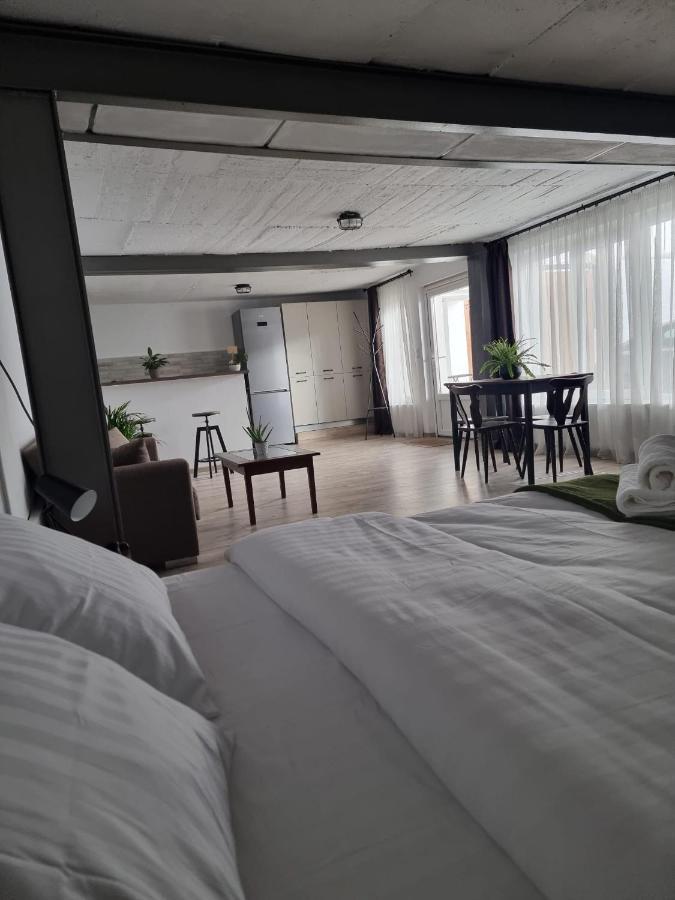 The Cozy Bunker Apartment Sibiu Ngoại thất bức ảnh