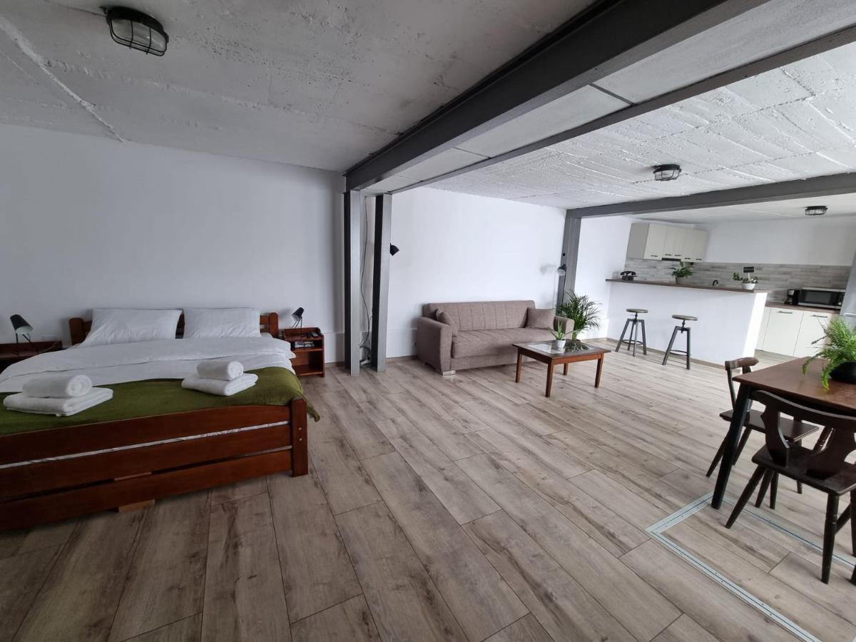 The Cozy Bunker Apartment Sibiu Ngoại thất bức ảnh