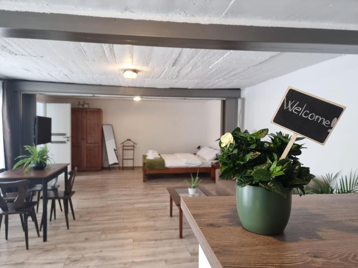The Cozy Bunker Apartment Sibiu Ngoại thất bức ảnh