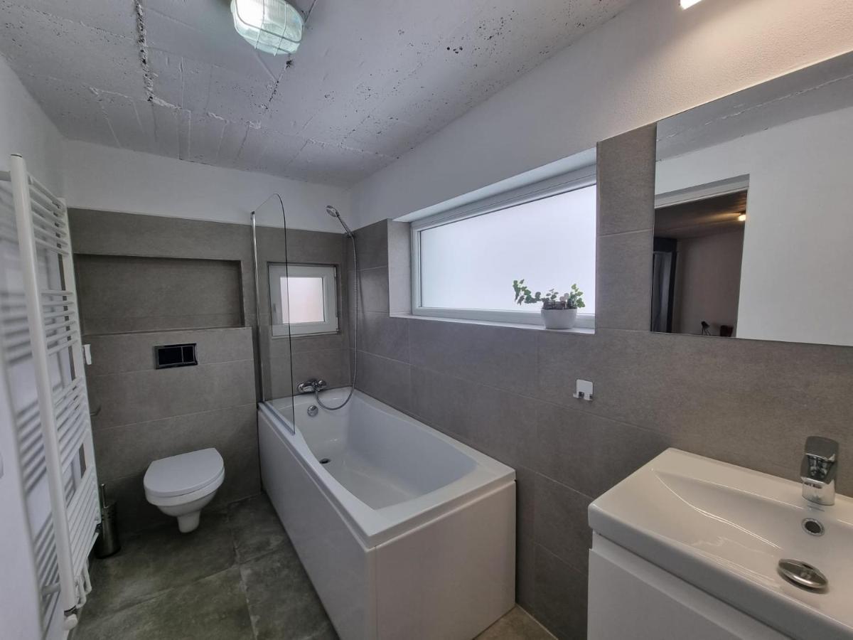 The Cozy Bunker Apartment Sibiu Ngoại thất bức ảnh