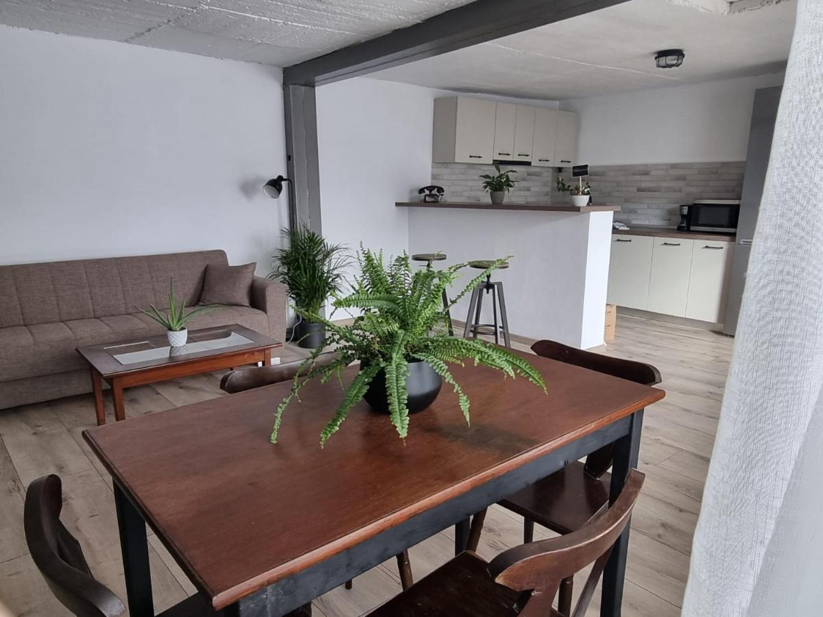 The Cozy Bunker Apartment Sibiu Ngoại thất bức ảnh