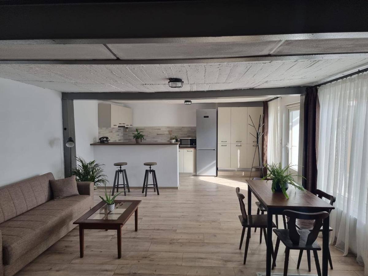 The Cozy Bunker Apartment Sibiu Ngoại thất bức ảnh