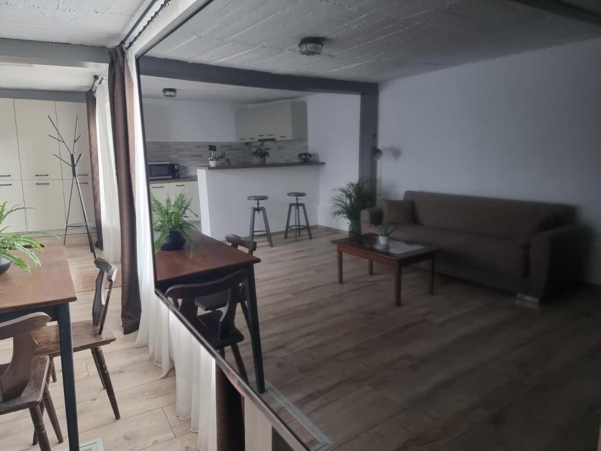 The Cozy Bunker Apartment Sibiu Ngoại thất bức ảnh
