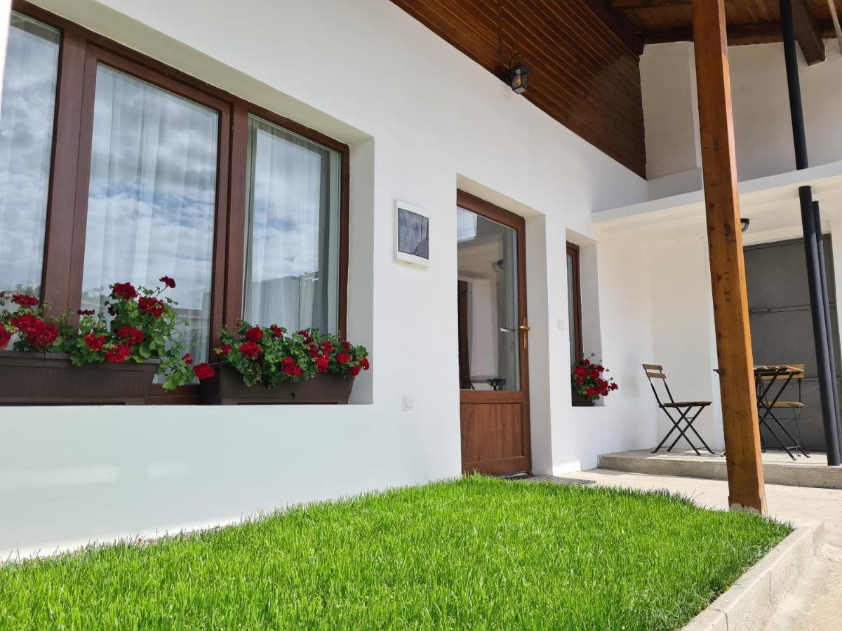 The Cozy Bunker Apartment Sibiu Ngoại thất bức ảnh